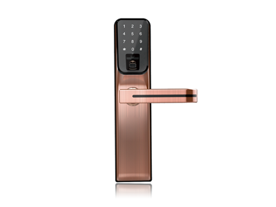 Intelligent smart fingerprint password door locks