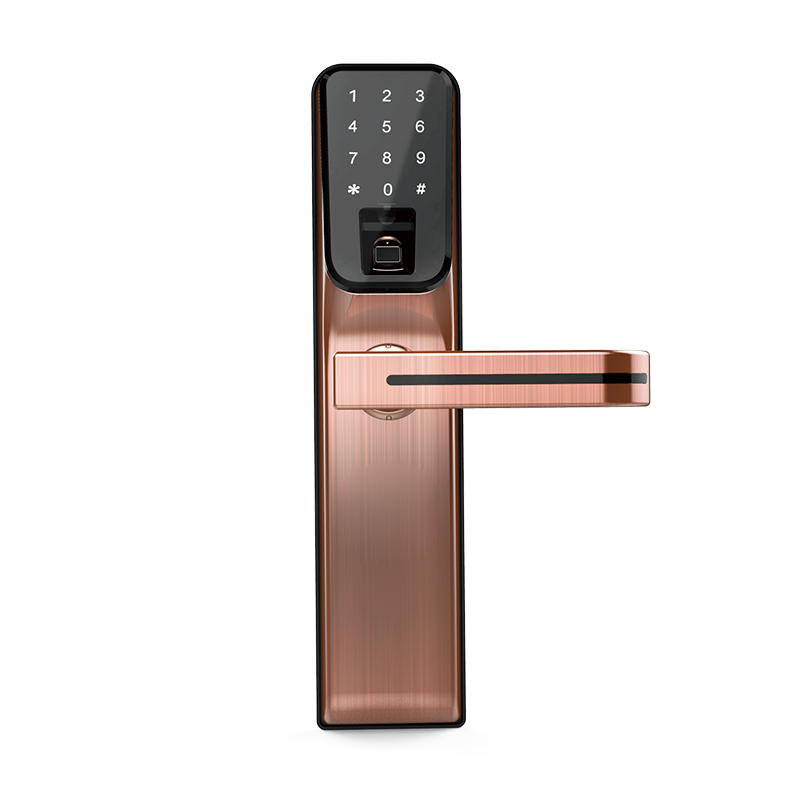 C5 Antique Brass Intelligent smart fingerprint card password door locks 