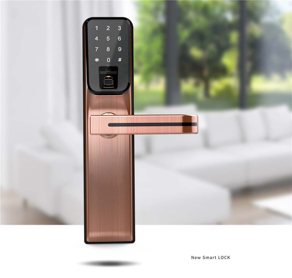 C5 Bronzed Intelligent fingerprint smart card password door locks