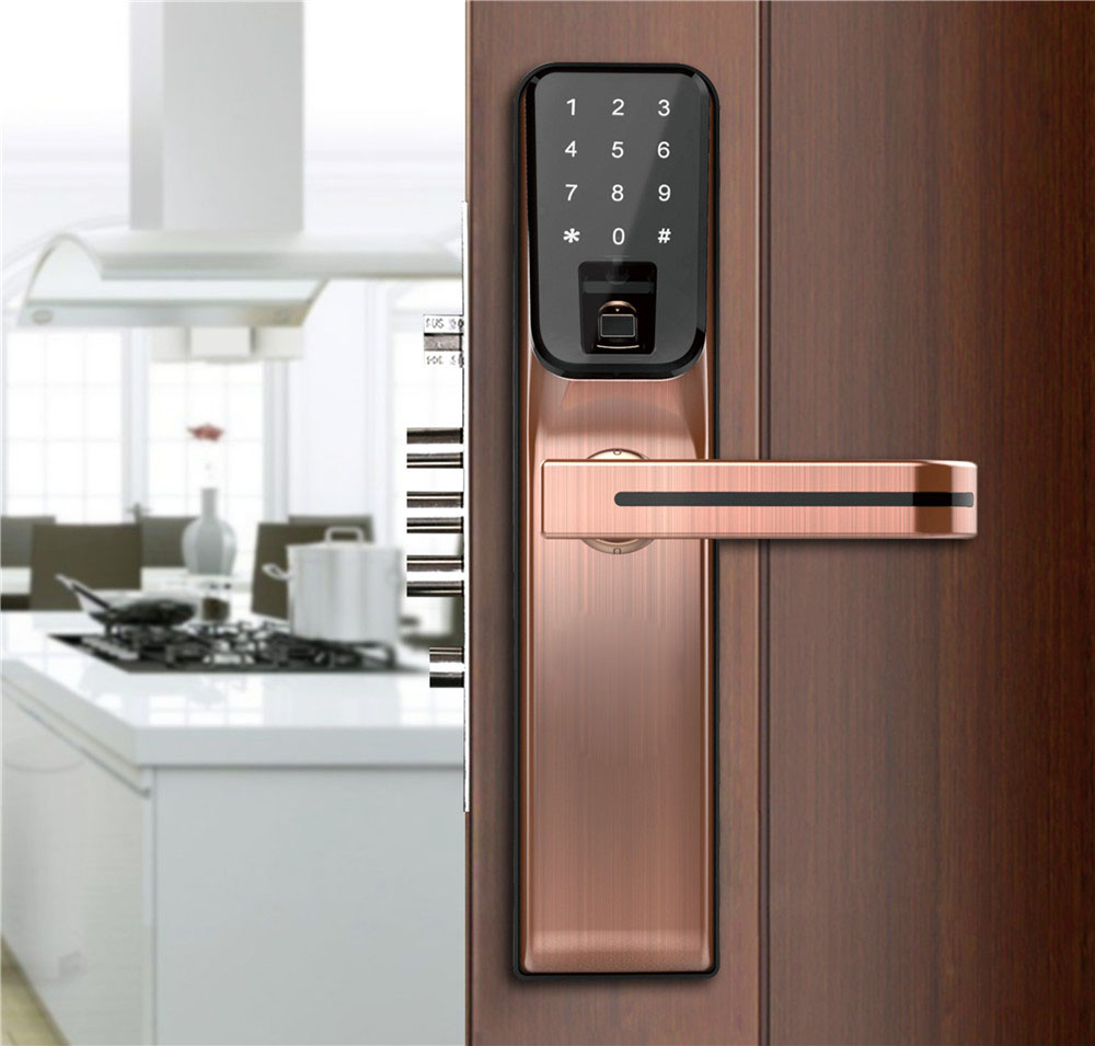 C5 Bronzed Intelligent fingerprint smart card password door locks