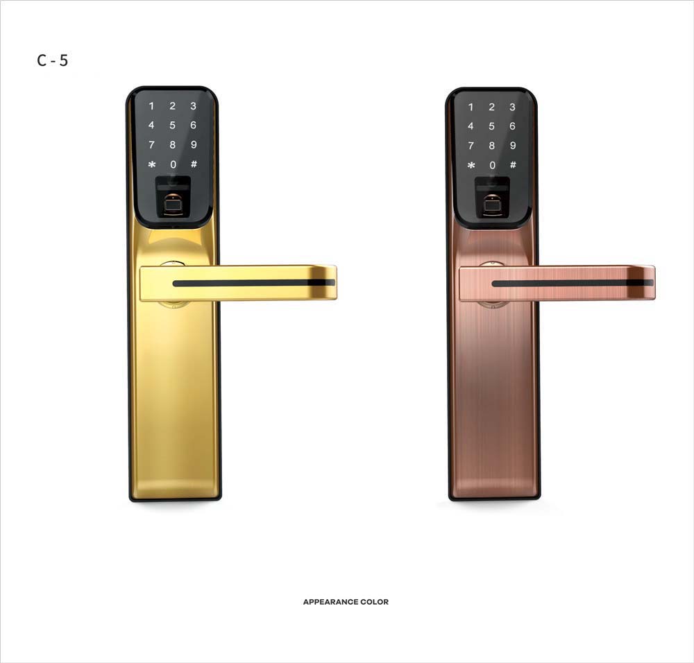 C5 Luxury Gold Intelligent smart fingerprint card password door lock