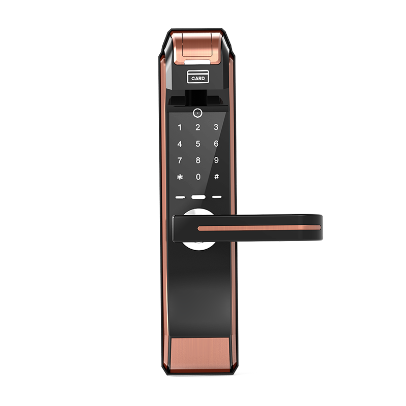 C6 Antique Brass Intelligent smart fingerprint card password door locks 