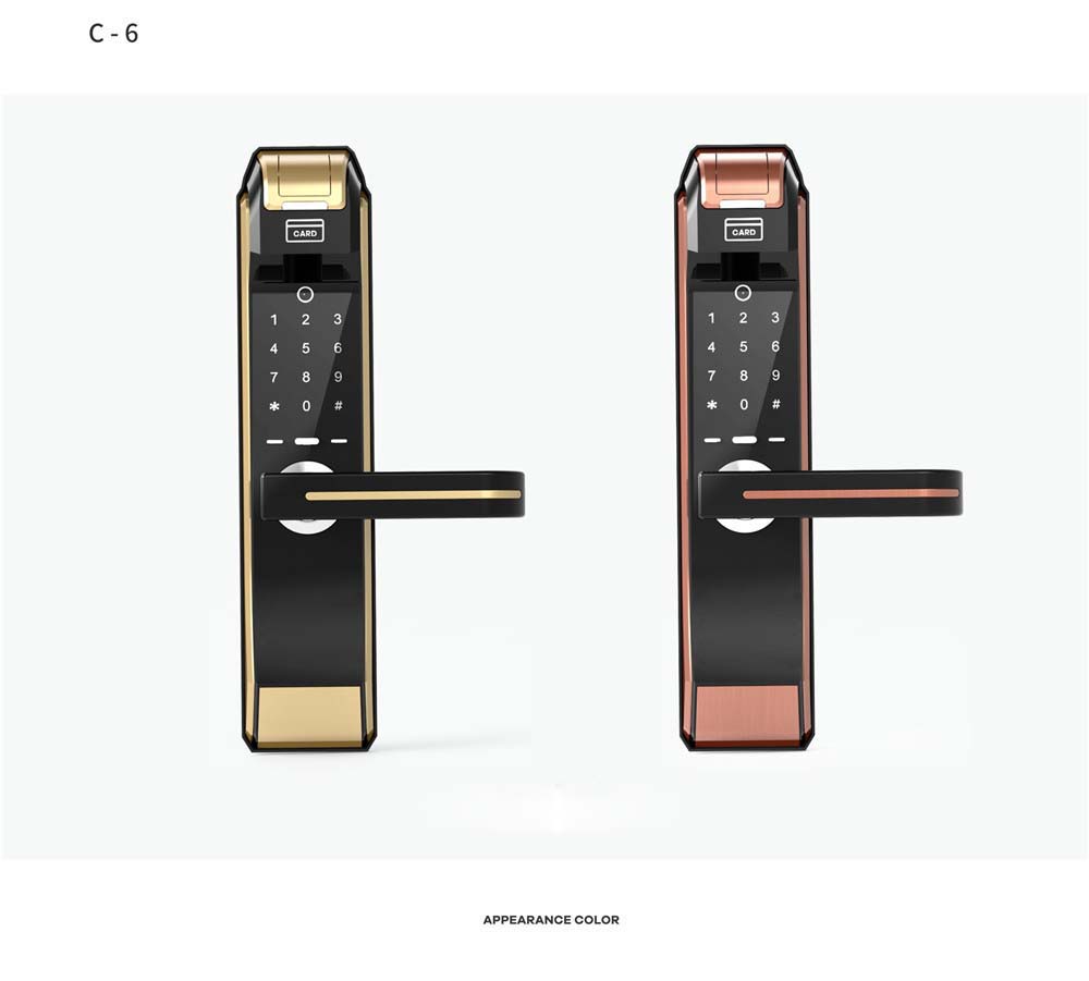 C6 Antique Brass Intelligent smart fingerprint card password door locks