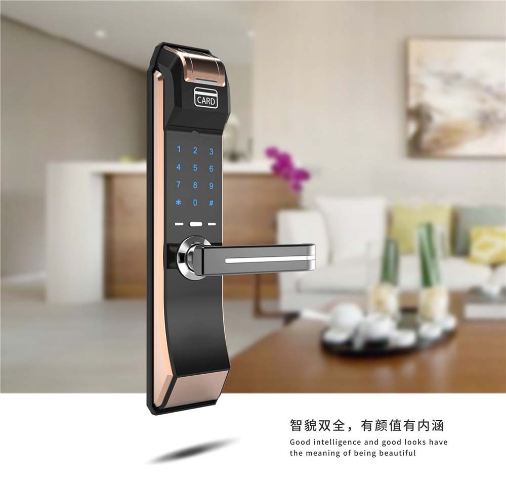 C6 Antique Brass Intelligent smart fingerprint card password door locks