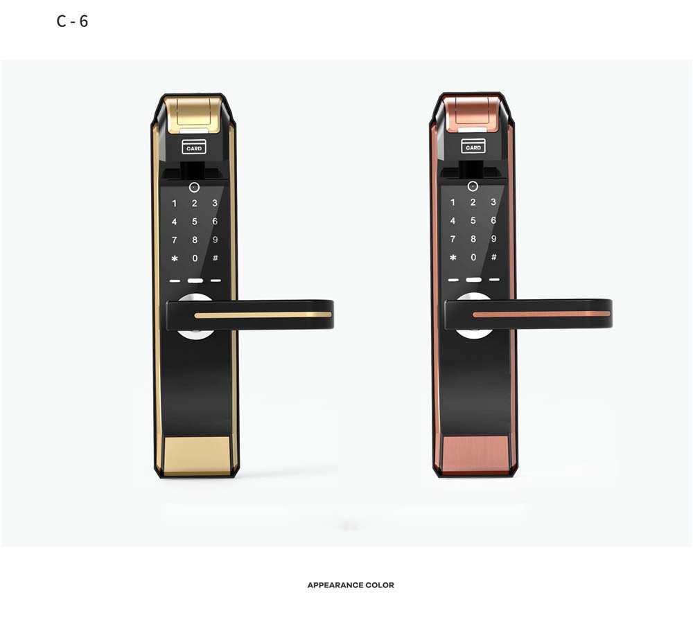 C6 Luxury Gold Intelligent smart fingerprint card password door locks