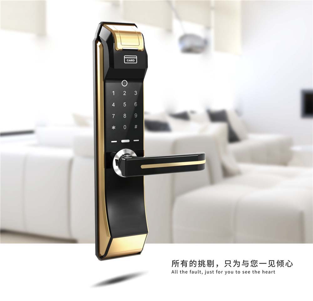 C6 Luxury Gold Intelligent smart fingerprint card password door locks