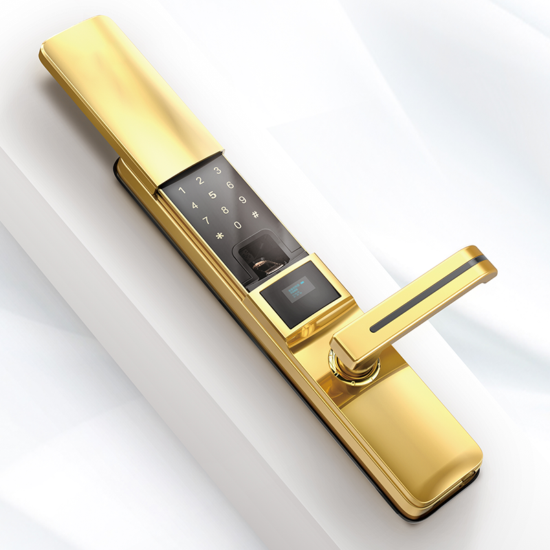 C8 Luxury Gold Intelligent smart fingerprint card password door locks